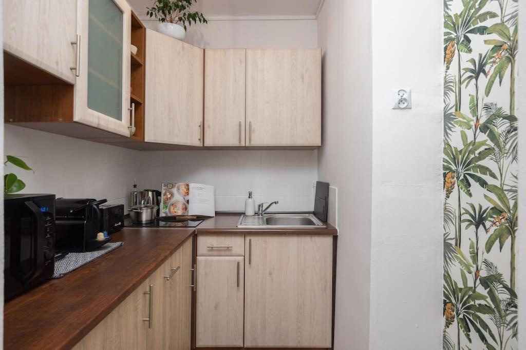 Specious City Center Studio With Park View Varşova Dış mekan fotoğraf