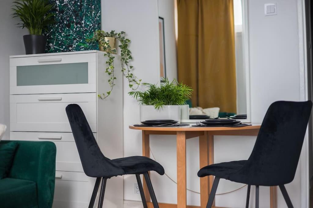 Specious City Center Studio With Park View Varşova Dış mekan fotoğraf